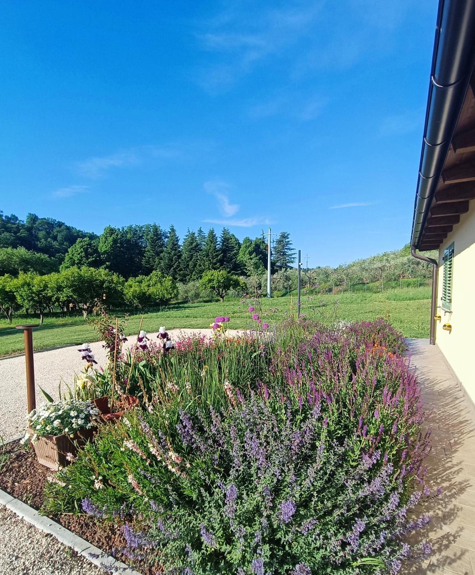 Gasthaus Colle Gelso Cesena Exterior foto